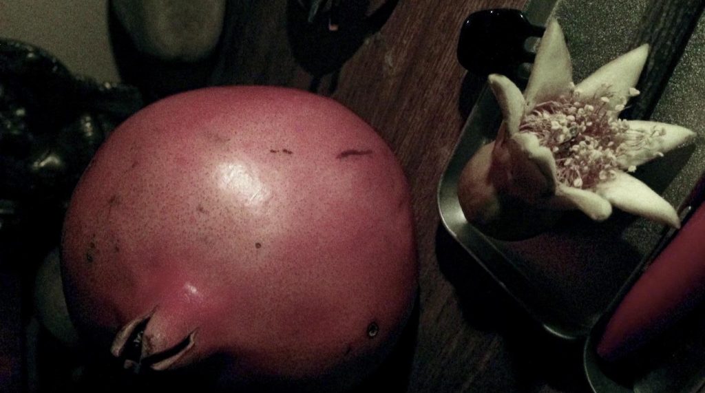 Docteur Burguiere consultation en micronutrion